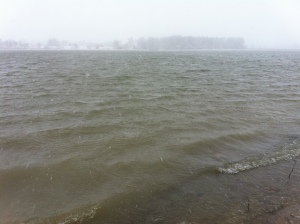 Lake in a snowstorm